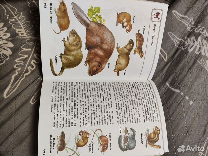 Книга атлас-определитель 