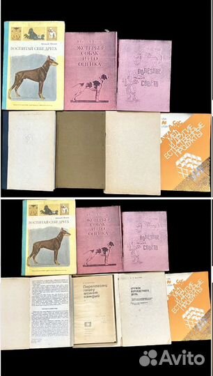 Иглоукалывание Медицина Собаководство Вязание