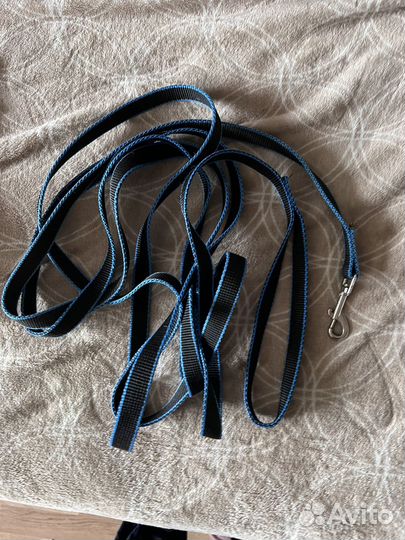 Поводок для собак, ошейник для собак