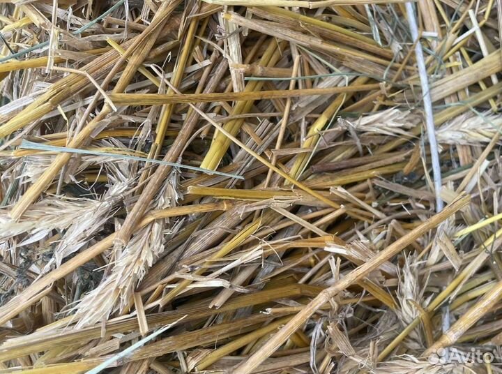 Солома в тюках (пшеничная, овсяная) с доставкой