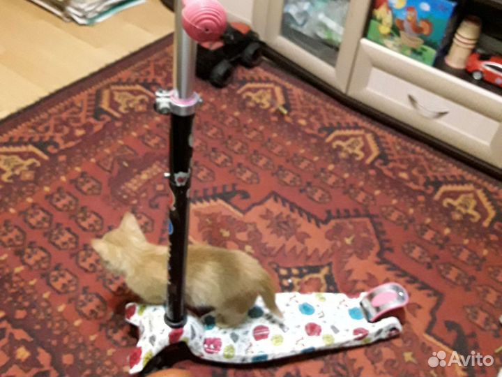 Самокат детский