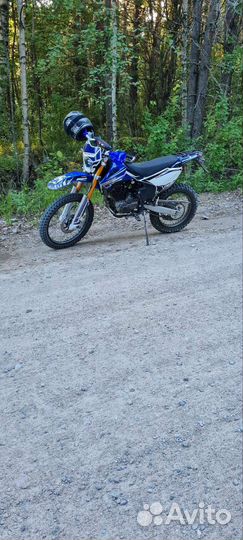 Regulmoto 003 172FMM