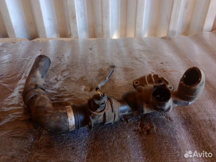 VAG Термостат passat (B6) (2005)