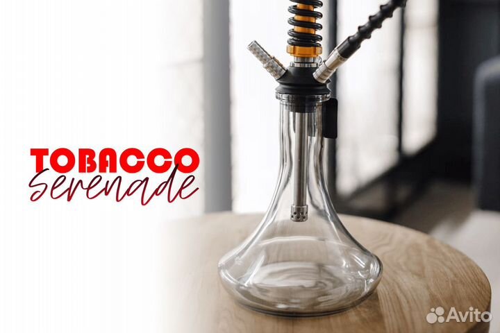 Успешный старт с 