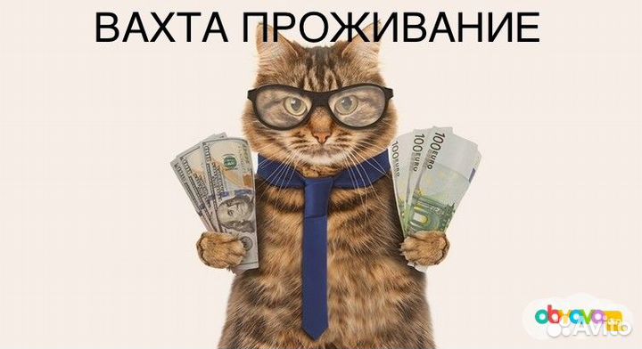 Комплектовщик с проживанием мо