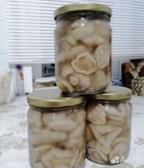 Рыжики соленые и маринованые