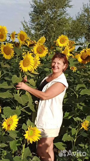 Налоговая помощь, отчётность, возврат ндфл