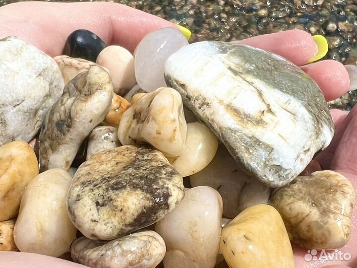 Морские камни для аквариума декора поделок