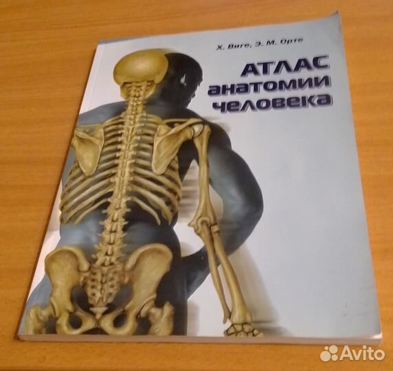 Книга Атлас анатомии человека