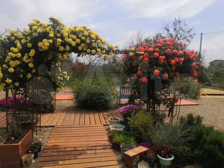 Комната 20 м², 1/2 эт.