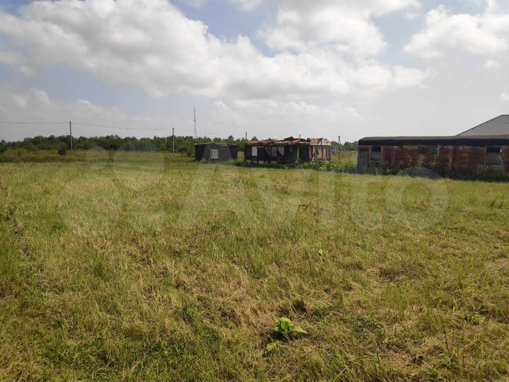 Участок 10 сот. (СНТ, ДНП)