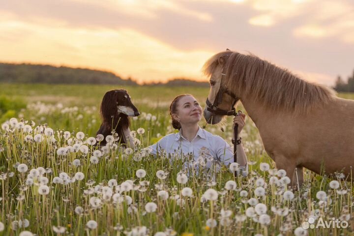 Кинолог с выездом