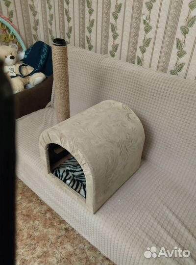 Домик, для кошек и котят