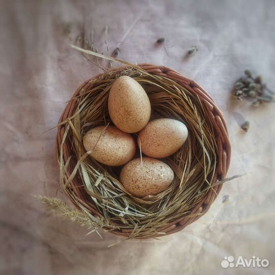 Фруктовница