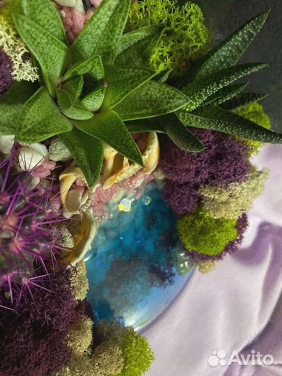 Флорариум пустынный