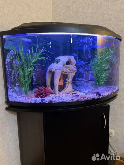 Аквариум с тумбой