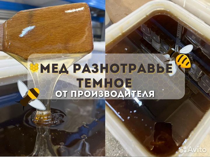 Темное разнотравье. свежий мед оптом