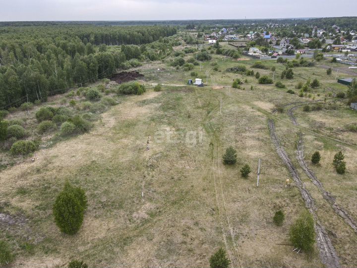 Участок 10 сот. (СНТ, ДНП)