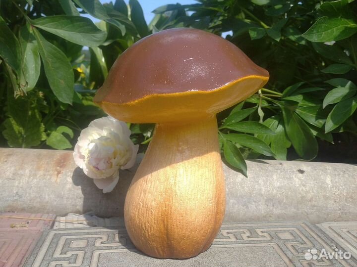 Гриб боровик