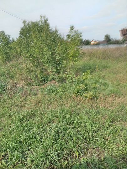 Участок 9,8 сот. (СНТ, ДНП)