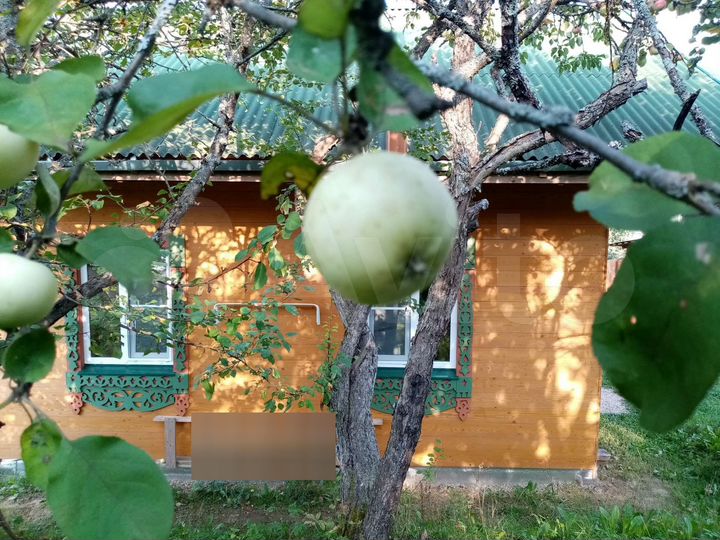 Дом 36 м² на участке 30 сот.