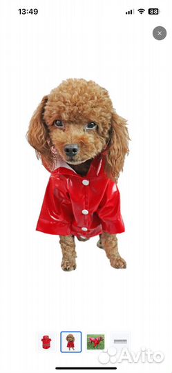Дождевик для собаки