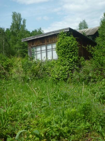 Дача 38 м² на участке 8 сот.