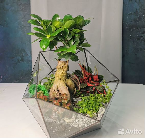Флорариум в икосаэдре L (арт. 6954)