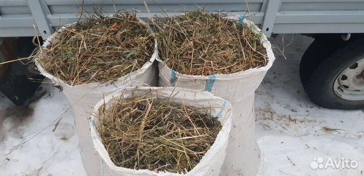 Сено в рулонах сено в мешках в тюках сено рулоны