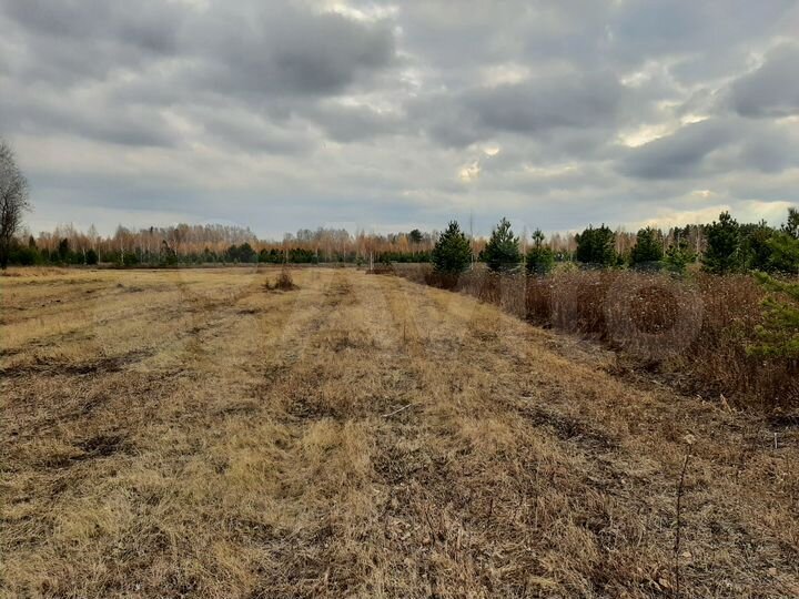 Участок 9,3 га (СНТ, ДНП)