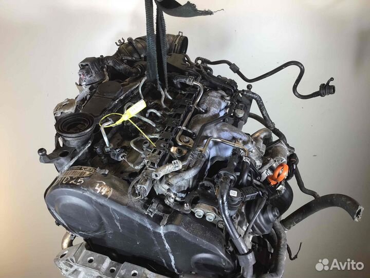 Двигатель VW Golf, 2009, диз. 2.0, cbd