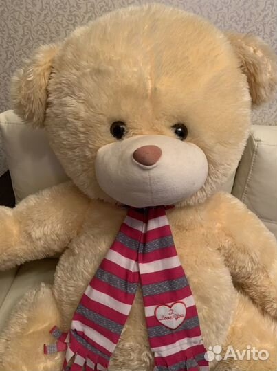 Плюшевый мишка
