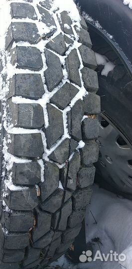 Шина на газ 53