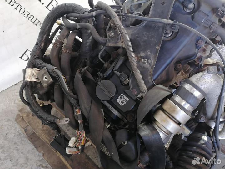 Двигатель Nissan Navara YD25