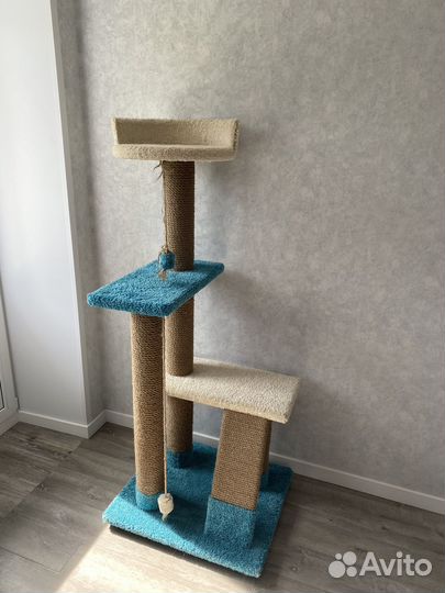 Когтеточка