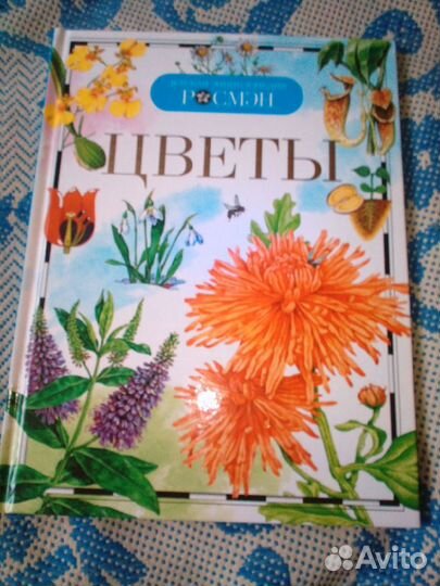 Детские энциклопедии