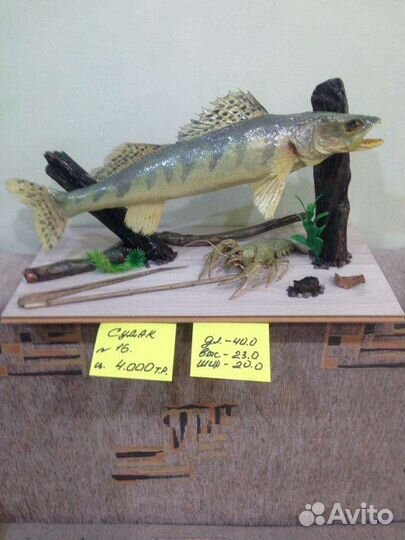 Подарки, сувениры, чучело судак