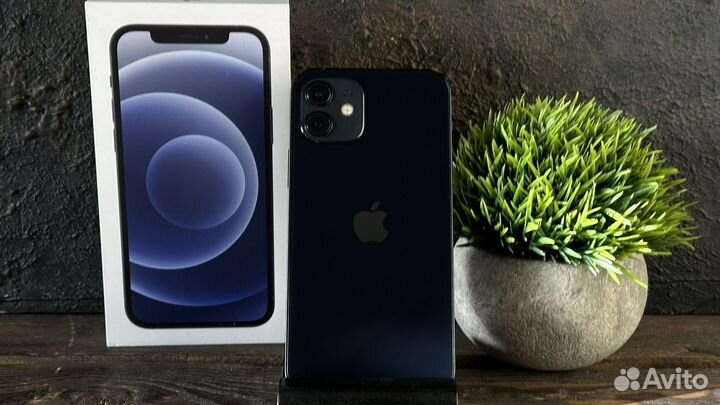 iPhone 12, 256 ГБ