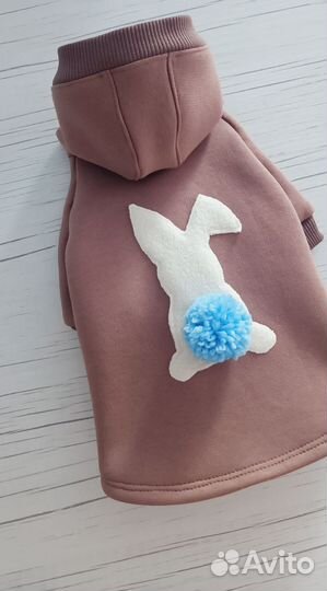 Одежда для собак