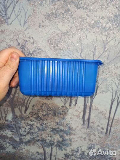 Поддоны для рассады