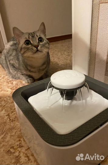 Фонтан поилка для кошек