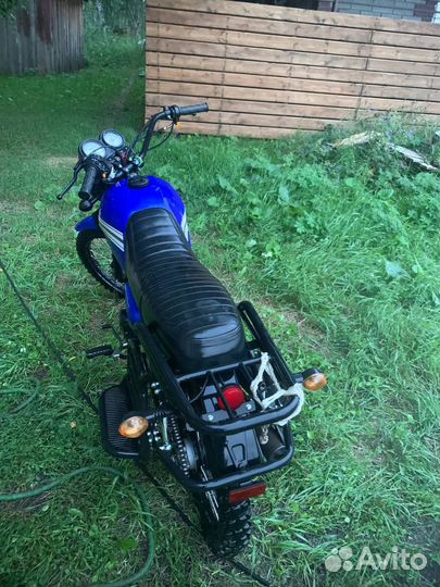 Продам Альфа кольт