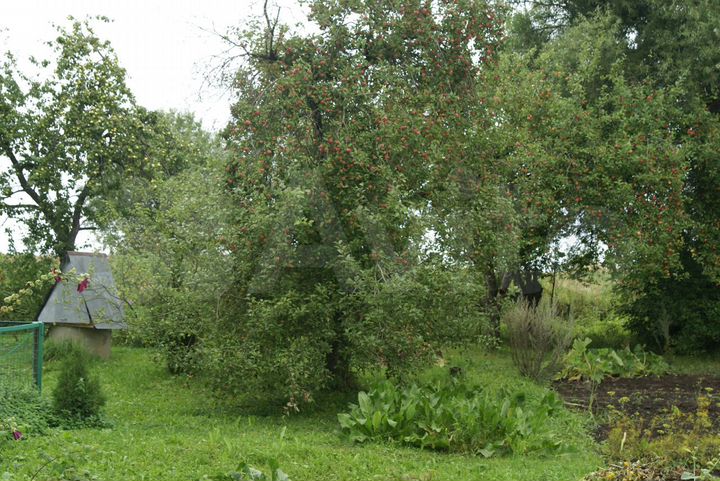 Участок 22 сот. (ИЖС)