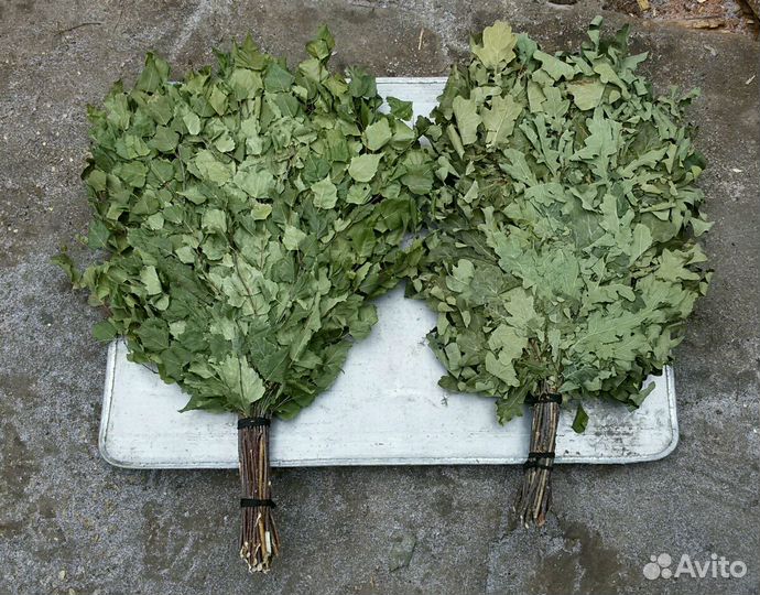 Веники, берёза, липа, вишня,дуб