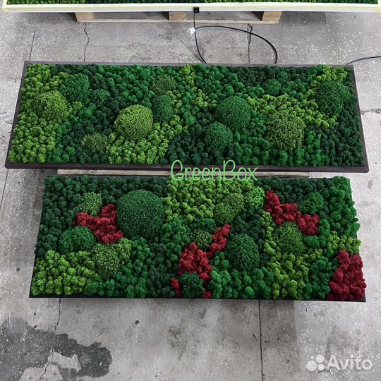 Панно из мха 140*55см