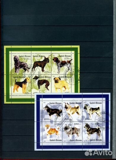 Фауна-часть 8