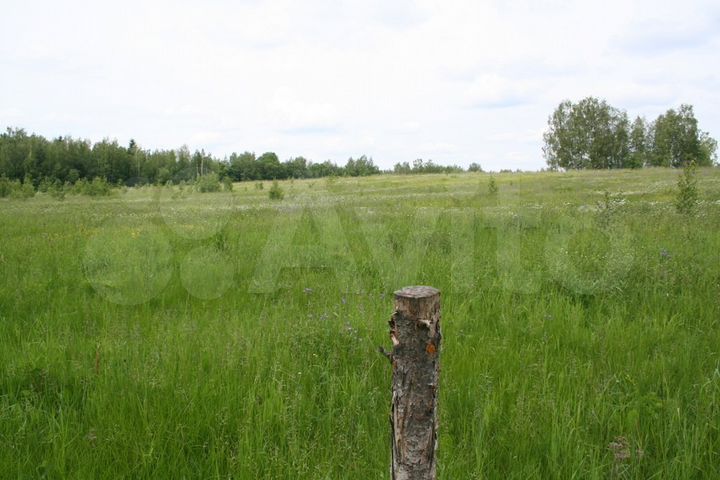 Участок 6 га (СНТ, ДНП)