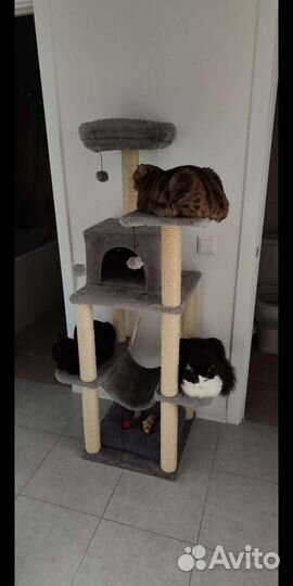 Ремонт когтеточек