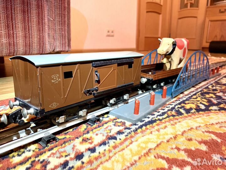 Железная дорога Пионерская