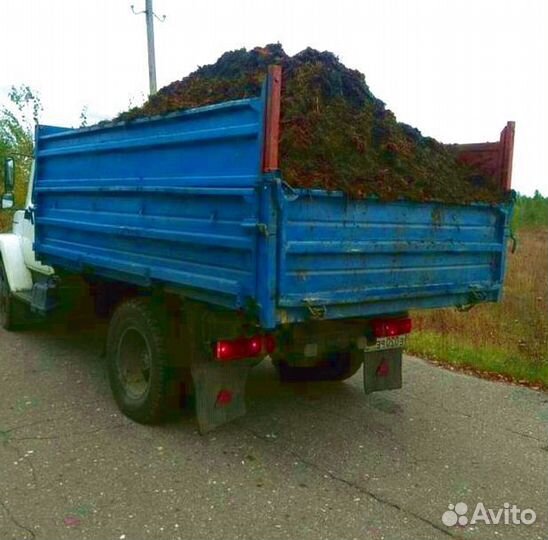 Чернозем, навоз с доставкой. Газон 5 тонн